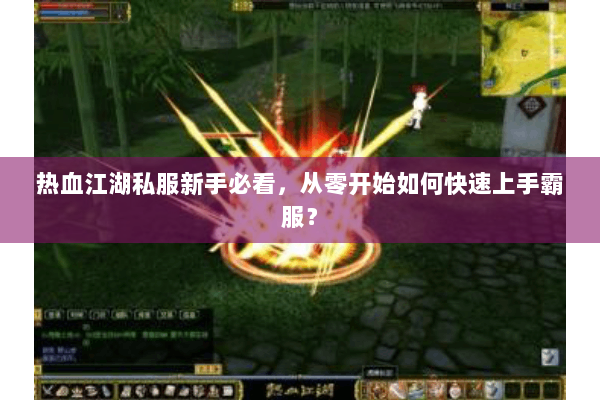 热血江湖私服新手必看，从零开始如何快速上手霸服？