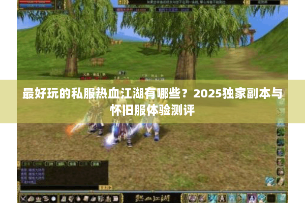 最好玩的私服热血江湖有哪些？2025独家副本与怀旧服体验测评