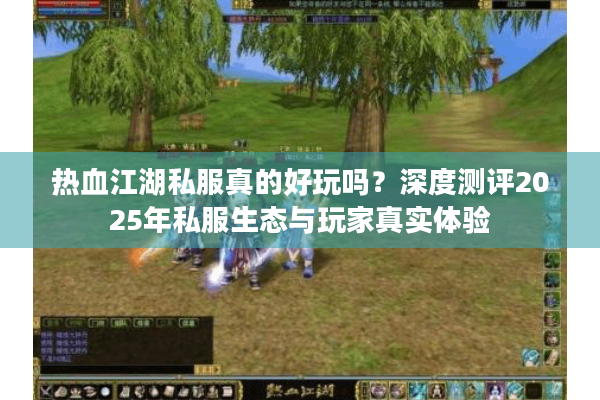 热血江湖私服真的好玩吗？深度测评2025年私服生态与玩家真实体验