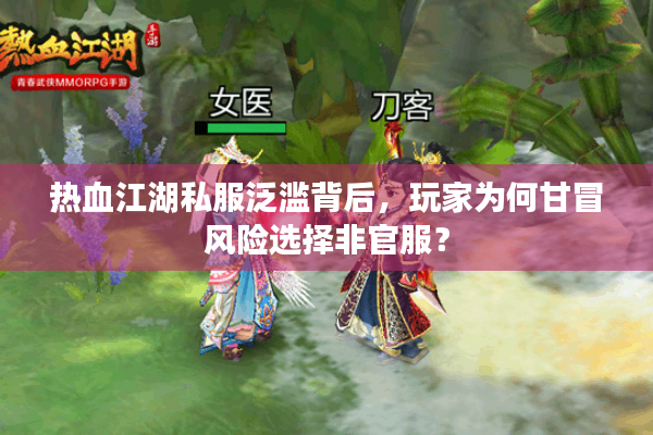 热血江湖私服泛滥背后，玩家为何甘冒风险选择非官服？