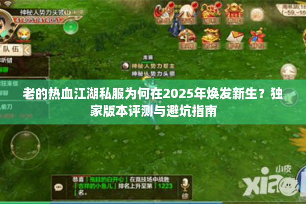 老的热血江湖私服为何在2025年焕发新生？独家版本评测与避坑指南