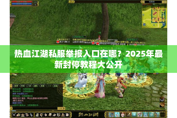 热血江湖私服举报入口在哪？2025年最新封停教程大公开